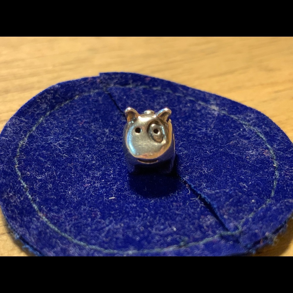 Pandora Dog Charm
